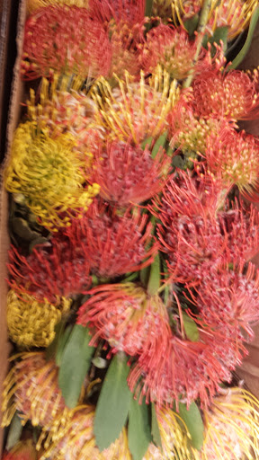 Florist «Paragon Flowers West», reviews and photos, 323 Walnut St, St Charles, IL 60174, USA