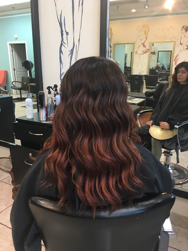 Hair Salon «Vision Hair Salon», reviews and photos, 12705 Braemar Village Plaza, Bristow, VA 20136, USA