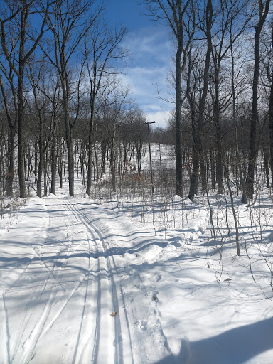 Ski Resort «High Point Cross Country Ski Center», reviews and photos, 1480 NJ-23, Sussex, NJ 07461, USA