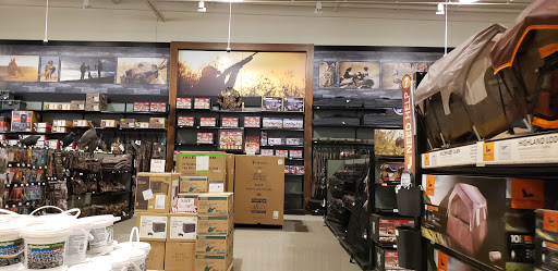 Outdoor Sports Store «Field & Stream», reviews and photos, 24600 Katy Fwy Ste 1100B, Katy, TX 77493, USA