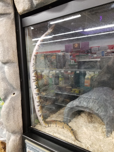 Pet Supply Store «Petco Animal Supplies», reviews and photos, 6425 Keizer Station Blvd, Keizer, OR 97303, USA