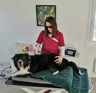 Dr Marina Baert, physiothérapie vétérinaire à Reims