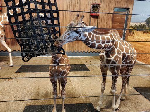 Golf Course «Como Park Golf Course», reviews and photos, 1431 Lexington Pkwy N, St Paul, MN 55103, USA