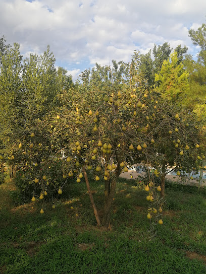 Pirko Bağ Evi