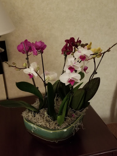 Florist «Saint Paul Floral», reviews and photos, 960 Payne Ave, St Paul, MN 55130, USA