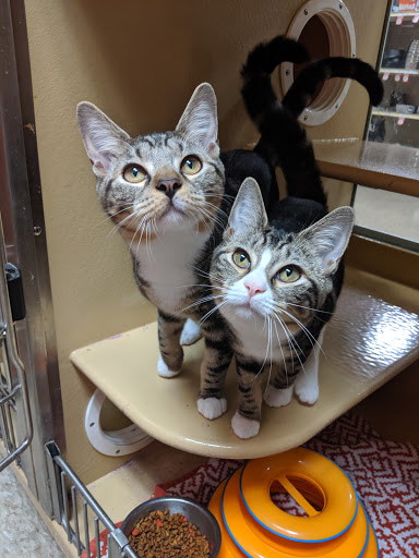 Pet Supply Store «PetSmart», reviews and photos, 950 Hanes Mall Blvd, Winston-Salem, NC 27103, USA