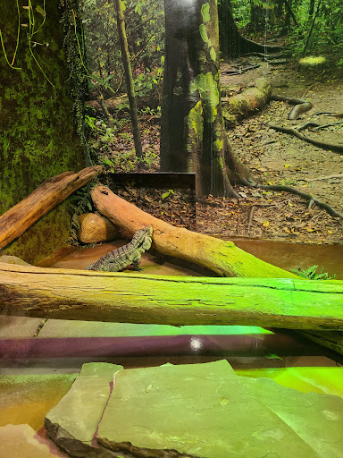 Aquarium «Greater Cleveland Aquarium», reviews and photos, 2000 Sycamore St, Cleveland, OH 44113, USA