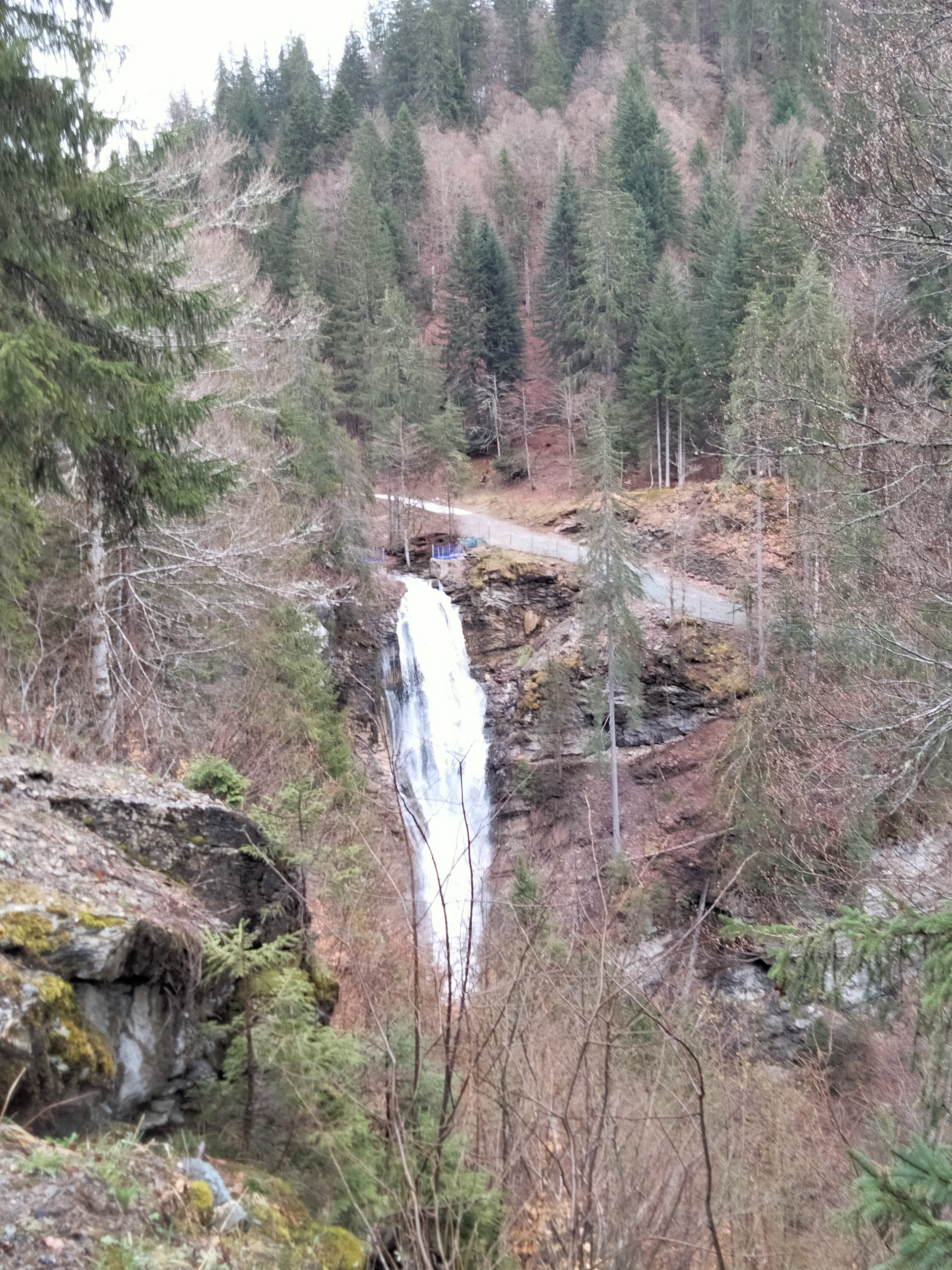 Photo n° 2 de l'avis de Didier.g fait le 11/04/2023 à 20:01