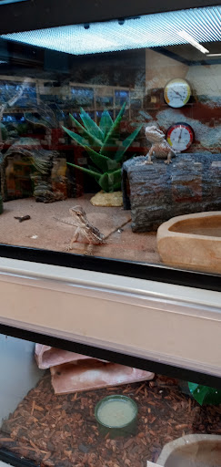 Pet Supply Store «Petco Animal Supplies», reviews and photos, 12801 Chenal Pkwy, Little Rock, AR 72211, USA