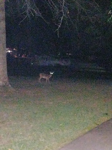 Campground «Defeated Creek Campground», reviews and photos, 140 Marina Ln, Defeated, TN 37030, USA