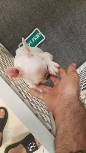 Pet Supply Store «Lil Rascals», reviews and photos, 10035 Gulf Center Dr #105, Fort Myers, FL 33913, USA