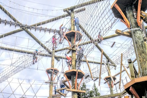 Yellowstone Aerial Adventures- Zipline Adventure Park