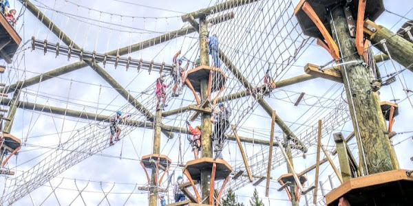 Yellowstone Aerial Adventures- Zipline Adventure Park