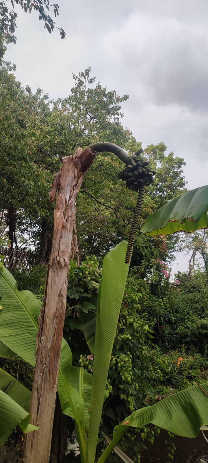 Photo n° 12 de l'avis de Maryline.a fait le 29/08/2023 à 19:52