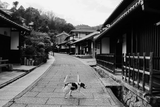 Dog Park «Mt. Airy Dog Park», reviews and photos, 3006 Westwood Northern Blvd, Cincinnati, OH 45211, USA