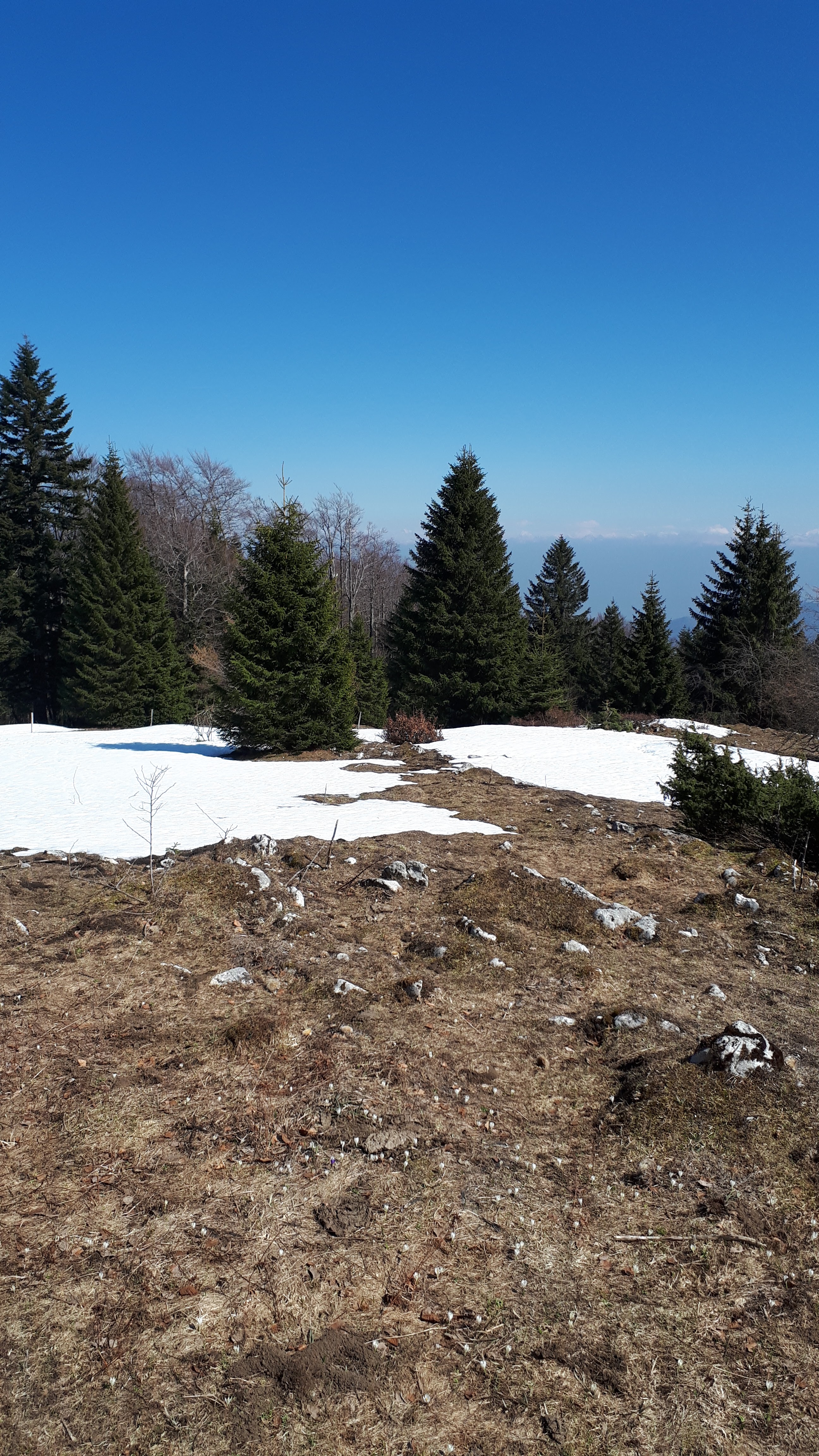 Photo n° 1 de l'avis de Élisabeth.h fait le 15/04/2019 à 16:01