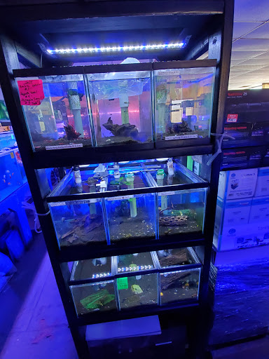 Aquarium Shop «Total Fish & Pets», reviews and photos, 137 Valley Blvd, Alhambra, CA 91801, USA