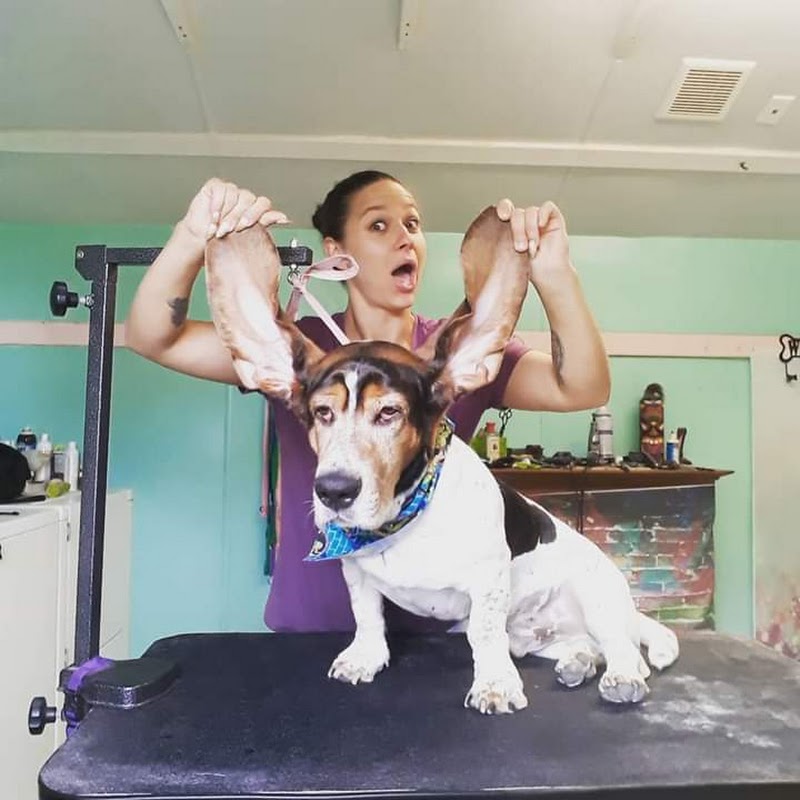 Nika's Pet Spaw & ReTreat Dog Grooming and Boarding