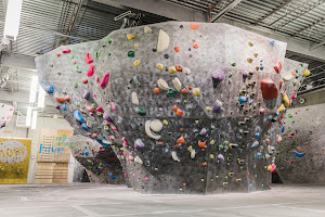 The Hive Bouldering Gym