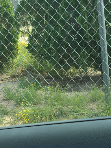 Park «Bicentennial Park», reviews and photos, 16705 N Nash St, Surprise, AZ 85378, USA