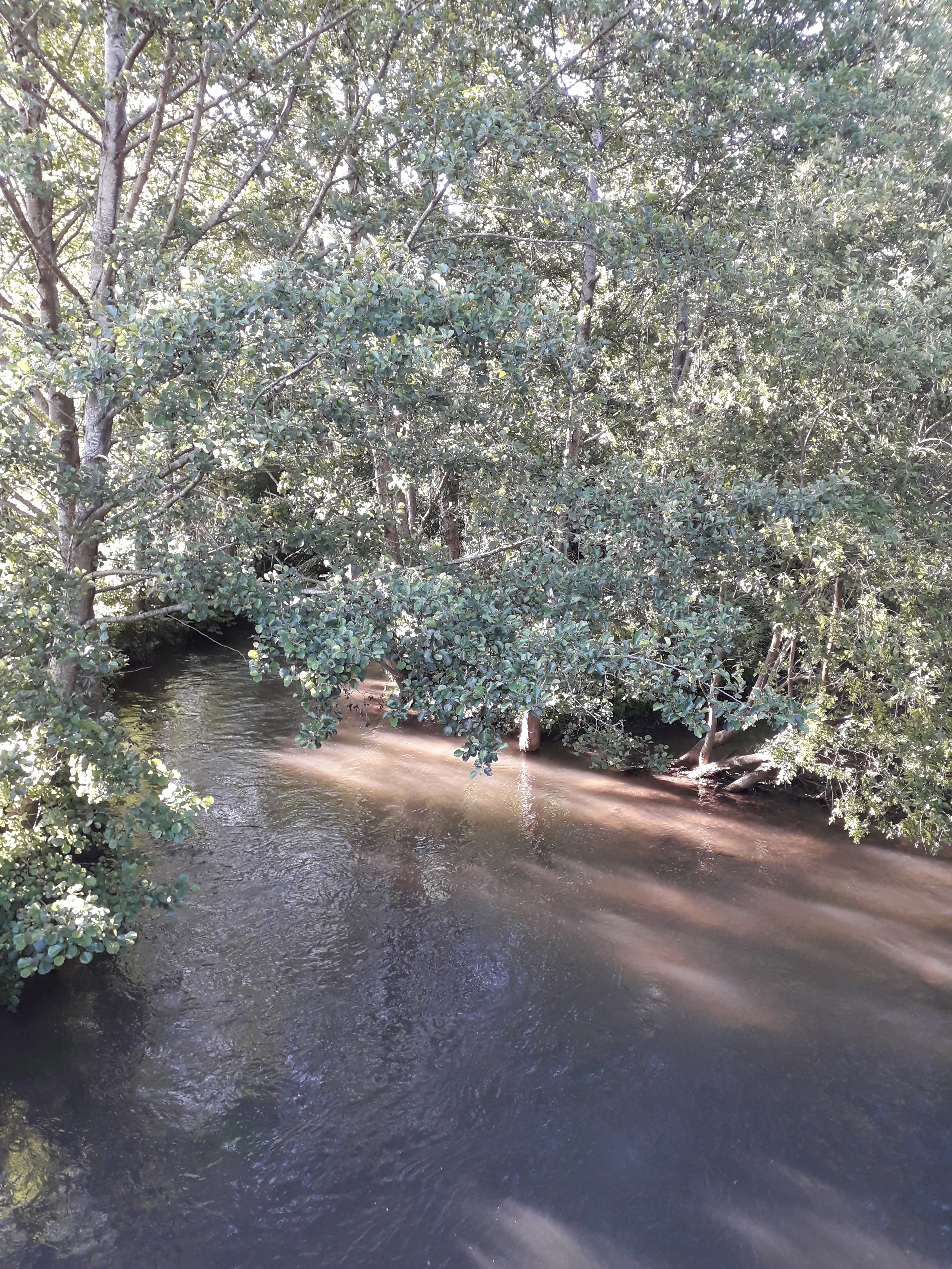 Photo n° 5 de l'avis de Aurélie.a fait le 16/06/2019 à 06:59