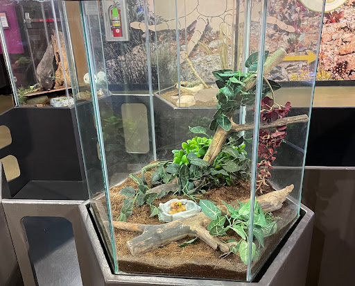 Animal Protection Organization «Butterfly Pavilion», reviews and photos, 6252 W 104th Ave, Westminster, CO 80020, USA