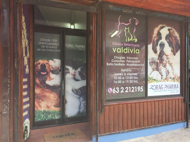 Comentarios y opiniones de Clínica Veterinaria Valdivia