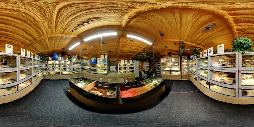 Animal Rescue Service «McCarthys Wildlife Sanctuary», reviews and photos, 12943 61st St N, West Palm Beach, FL 33412, USA