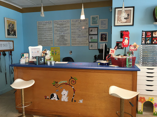 Pet Store «La Bone Pet Spa», reviews and photos, 8739 Stirling Rd, Cooper City, FL 33328, USA