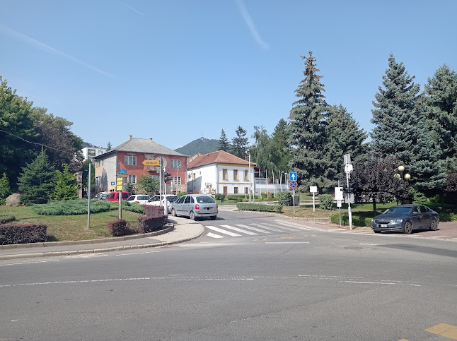 Opinii despre Dr. Göszi Állatklinika Bt. în Sátoraljaújhely - Állatorvos