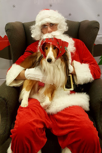 Pet Supply Store «PetSmart», reviews and photos, 128 Bailey Farm Rd, Monroe, NY 10950, USA