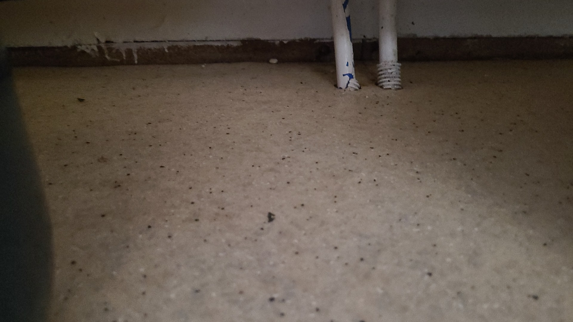 Photo n° 3 de l'avis de Osaus.a fait le 11/08/2023 à 11:39
