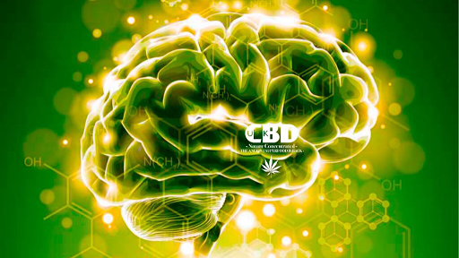 Vaporizer Store «The Cloud Co. Smoke And Vape Shop», reviews and photos, 14415 Blanco Rd #100, San Antonio, TX 78216, USA