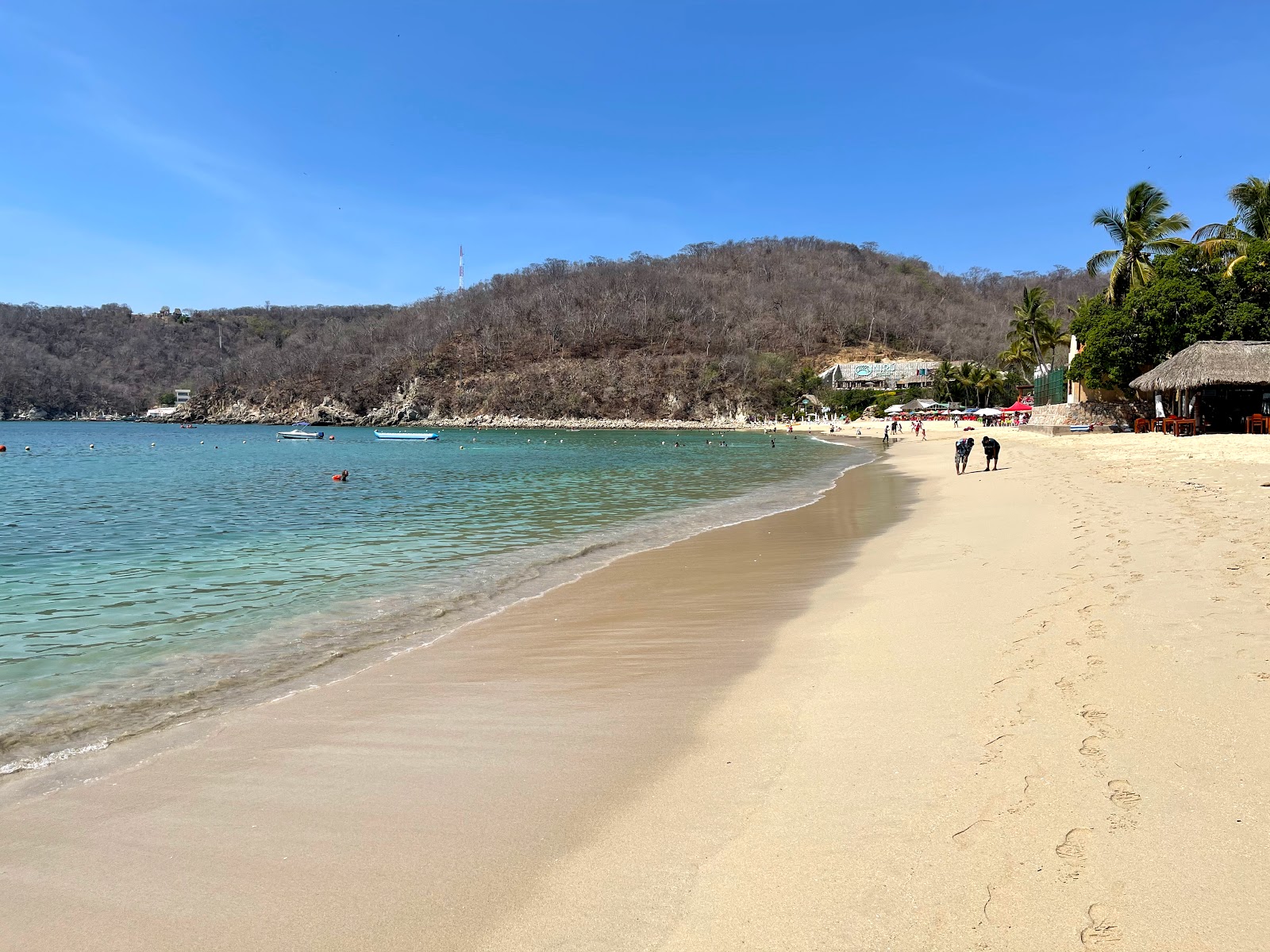 Foto de Santa Cruz beach con arena fina beige superficie