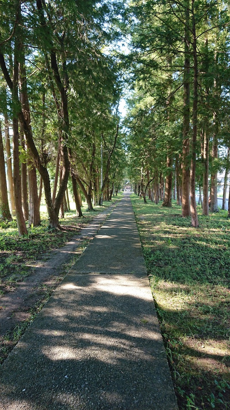 千本杉(小村神社表参道)