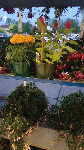 Supermarket «Key Food», reviews and photos, 153-55 Cross Island Pkwy, Whitestone, NY 11357, USA