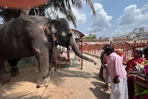 KUMBESHWARAR TEMPLE image