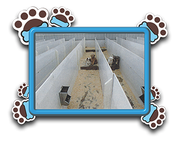 Pet Store «AA Ridgewood Kennels II», reviews and photos, 5401 Lincoln Hwy, Gap, PA 17527, USA