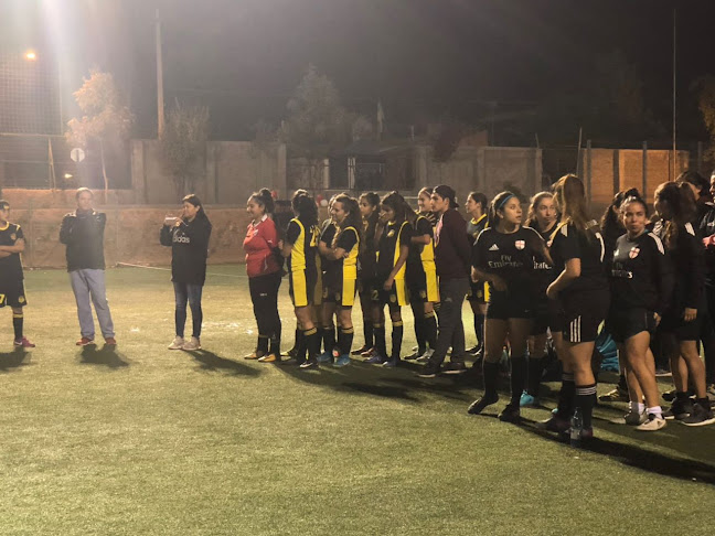 https://www.municipalidadelbosque.cl/web/index.php/deporte-y-recreacion/