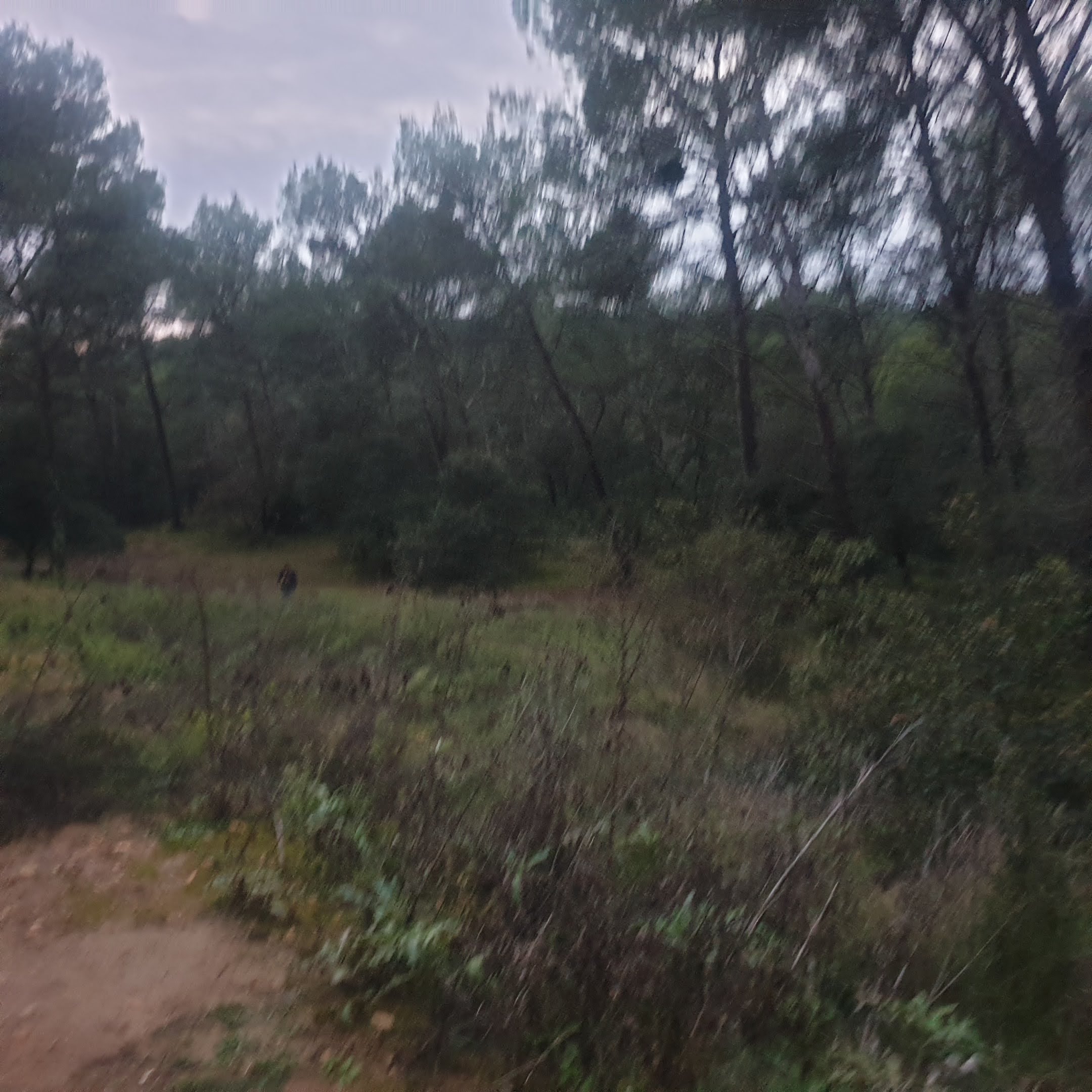 Photo n° 1 de l'avis de Lilian.a fait le 15/01/2021 à 23:36