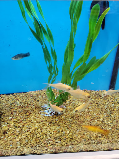 Pet Supply Store «Petco Animal Supplies», reviews and photos, 15475 Annapolis Rd #100, Bowie, MD 20715, USA