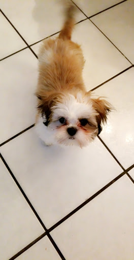 Pet Supply Store «PetSmart», reviews and photos, 1836 Joe Battle Blvd, El Paso, TX 79936, USA