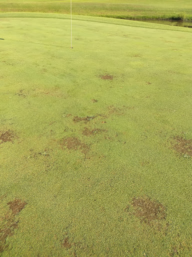 Golf Course «Willow Ridge Golf Course», reviews and photos, 2065 Erin Rd, McEwen, TN 37101, USA