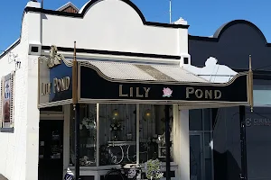 Lily Pond image