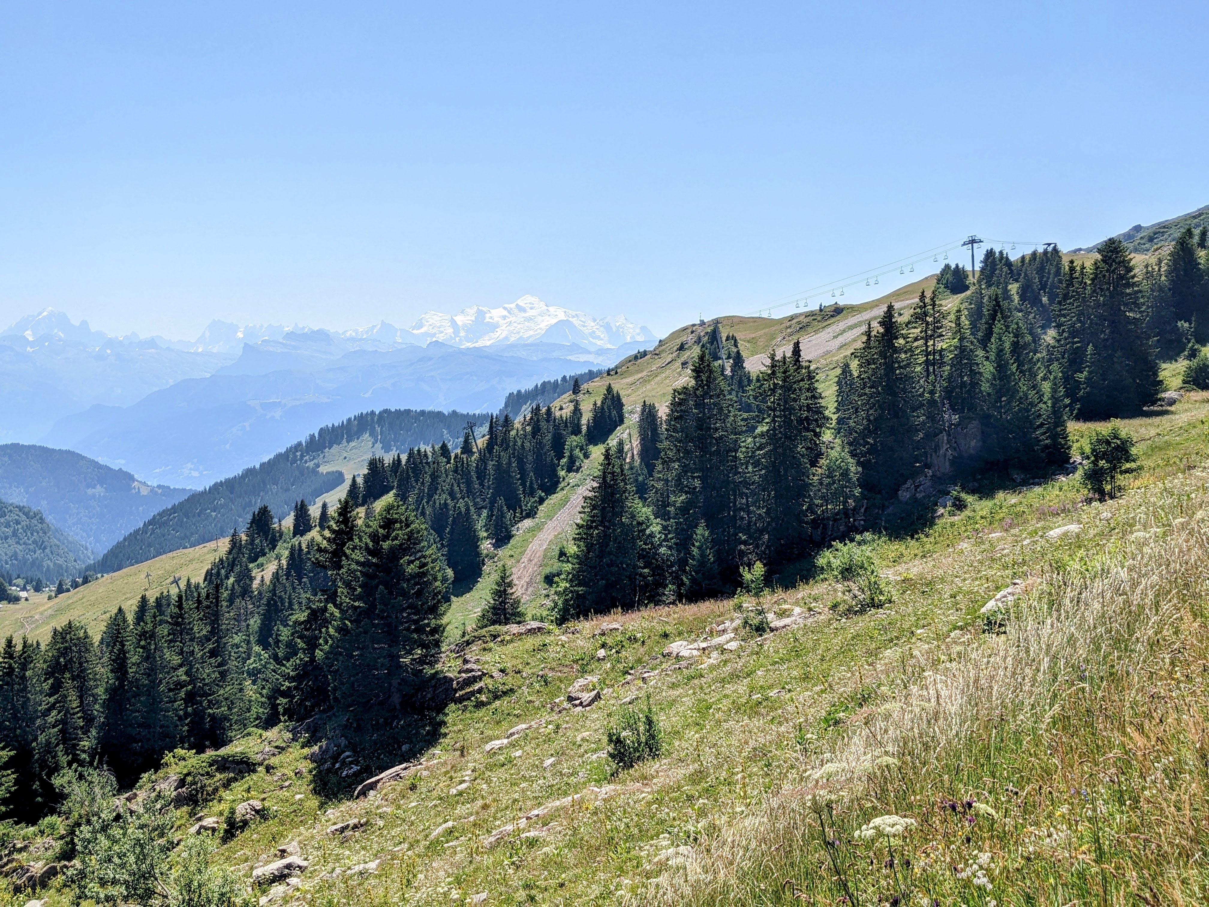 Photo n° 16 de l'avis de laurents71. fait le 19/07/2022 à 19:24