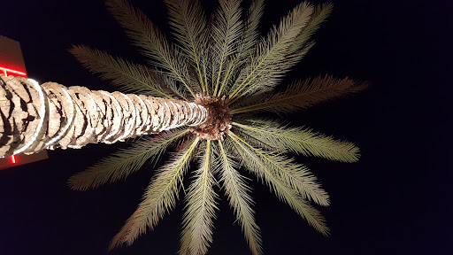 Movie Theater «AMC Destin Commons 14», reviews and photos, 4000 Legendary Dr, Destin, FL 32541, USA