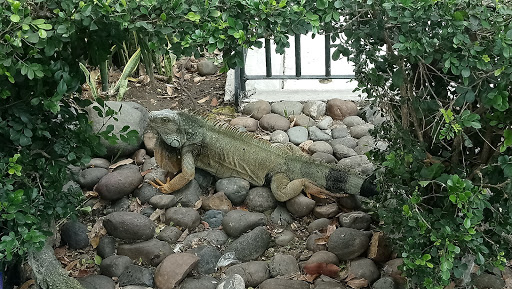 Parqueadero Las Iguanas