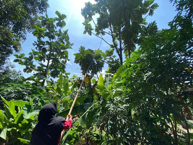Menikmati Keindahan Kebun Raya di Jawa Timur: Temukan Lebih dari 15 Tempat yang Menakjubkan