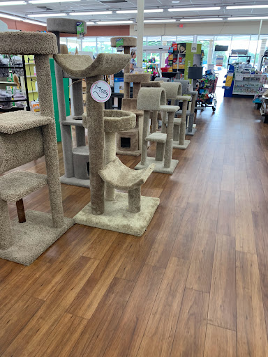 Pet Supply Store «Pet Supermarket», reviews and photos, 1125 Royal Palm Beach Blvd, Royal Palm Beach, FL 33411, USA