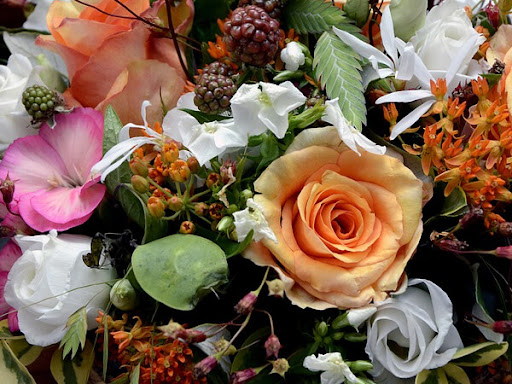 Funeral Home «Paul R Young Funeral Home», reviews and photos, 7345 Hamilton Ave, Cincinnati, OH 45231, USA